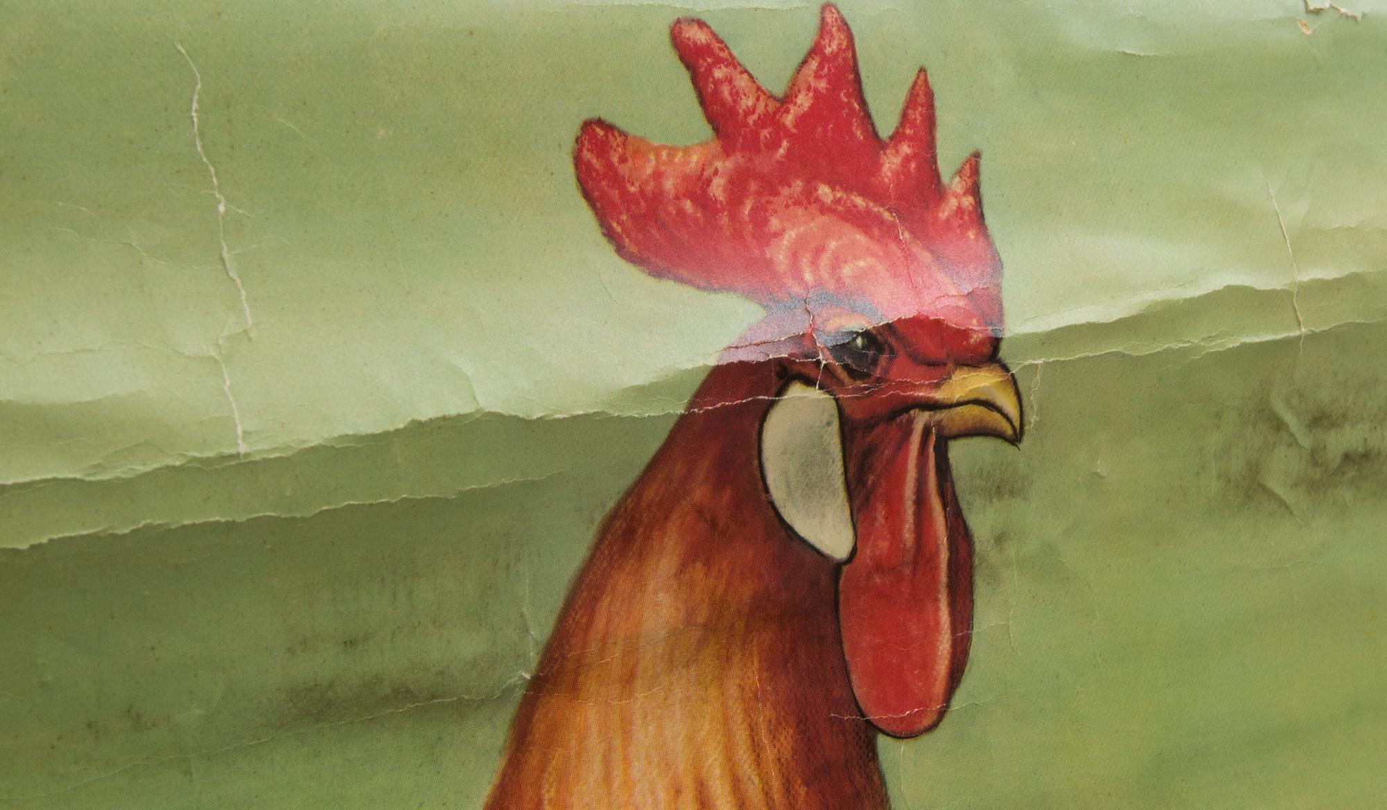 SKOLPLANSHER, 3 st, Gumperts, djurmotiv.