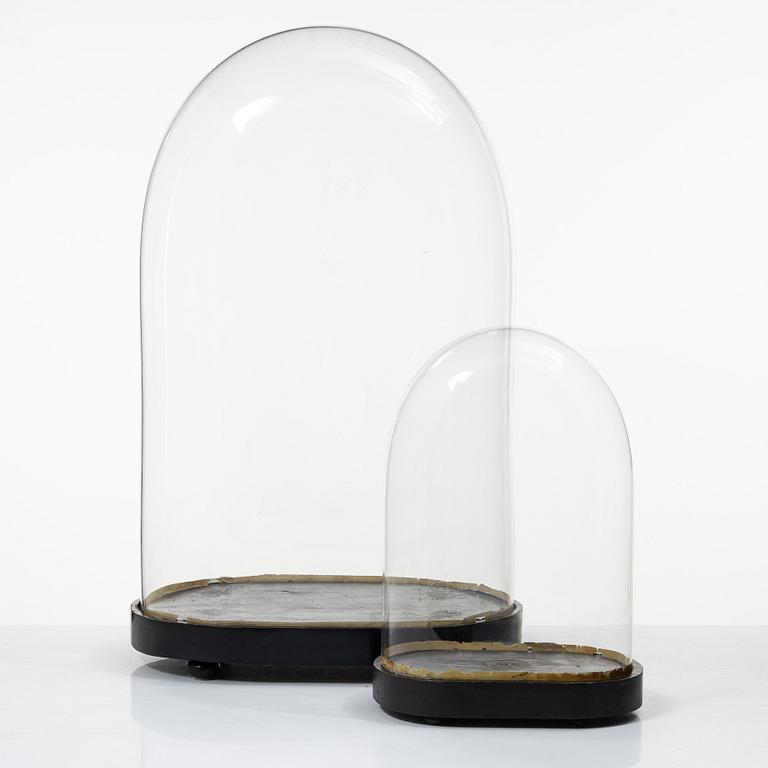 Two glass domes, 19th Century.
