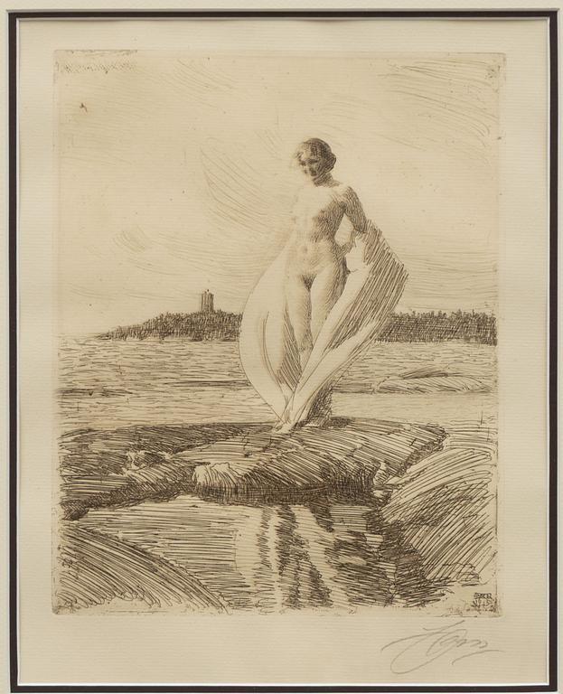 Anders Zorn, ”Svanen”.