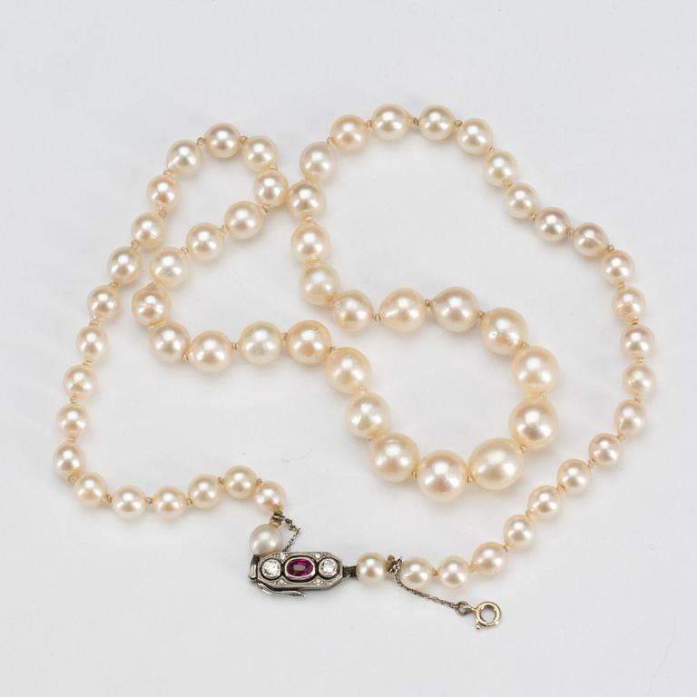 PÄRLCOLLIER, doserade odlade pärlor, lås i silver med rubin samt gammalslipade diamanter ca 0,10 ct. Vikt ca 29 g.