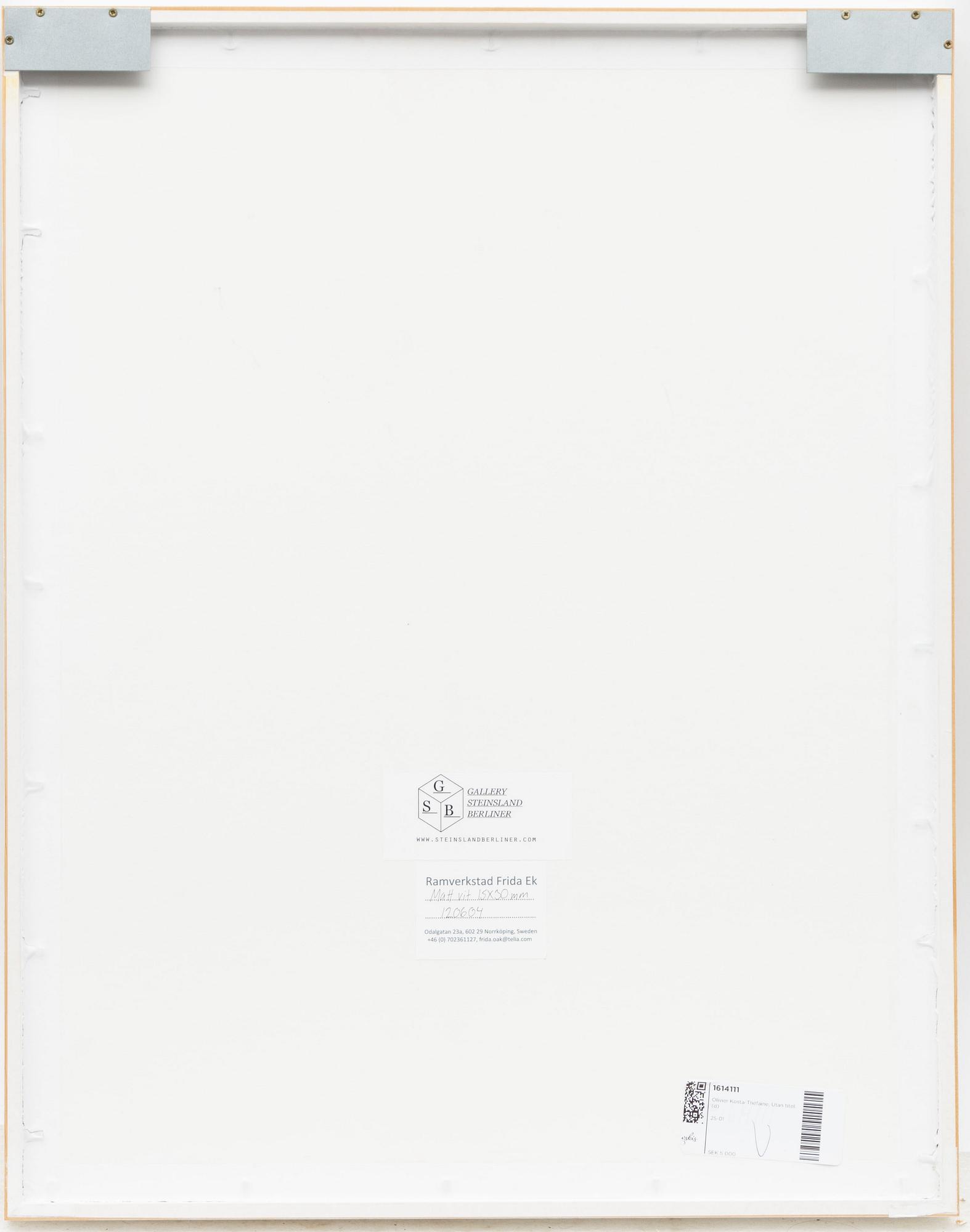 Olivier Kosta-Théfaine, Untitled.