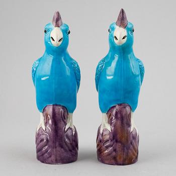 A pair of Chinese turkoise glazed parrots, 20th Century.