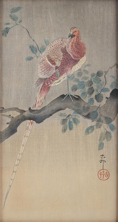 Ohara Koson, 'Copper Pheasant Perching on Branch'.