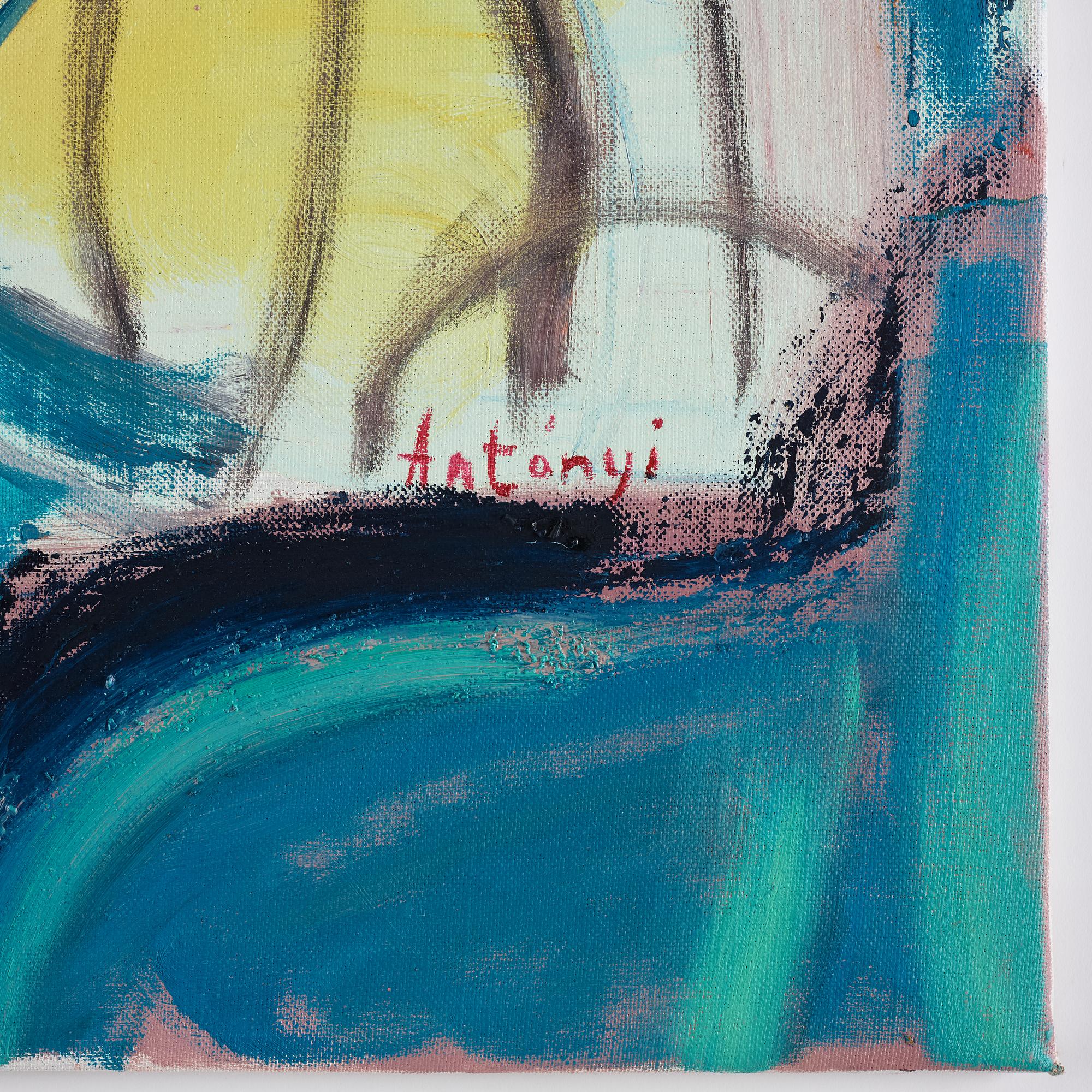 Imre Antonyi,