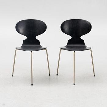 Arne Jacobsen, stolar, 6 st, "Myran", Fritz Hansen, Danmark, 1950/60-tal.