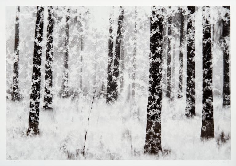 Christoffer Relander, "SNOWSTORM IN DRAGSVIK".