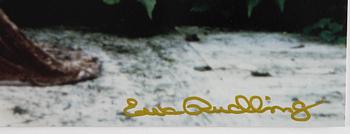 Ewa Rudling, photograph of Natassja Kinski, signed.