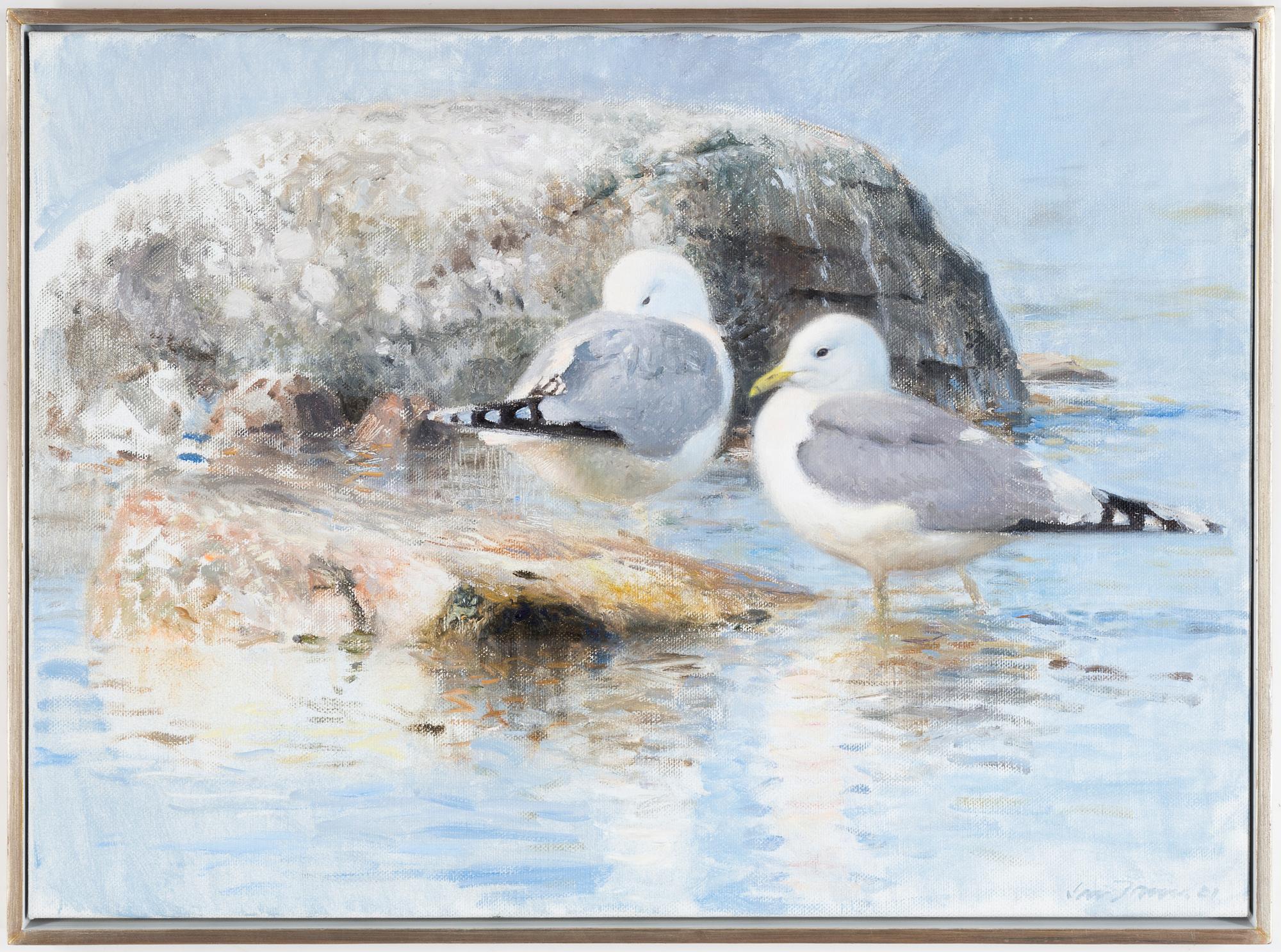 Lars Jonsson, Seagulls.