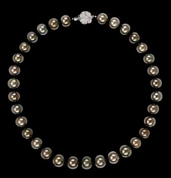 1105. A cultured Tahiti pearl necklace, 11 mm.