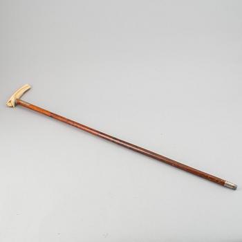 A wooden cane with bone handle, aroudn the year 1900.