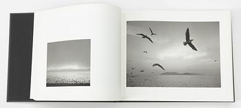 Pentti Sammallahti, "Täällä kaukana".