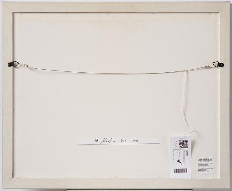 Maria Miesenberger, From the series Sverige/Schweden.