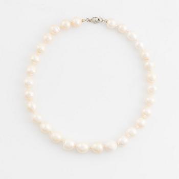 Collier, med odlade sötvattenspärlor, lås i silver.