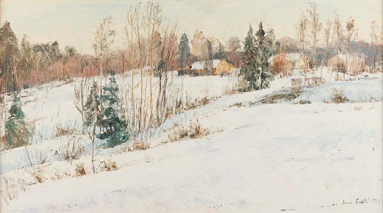 Aares Salli, Vinterlandskap.