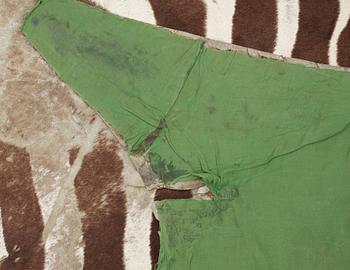 ZEBRASKINN, Zambia, 1980-tal.