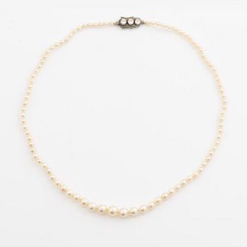 Collier med doserade pärlor, lås vitguld med tre gammalslipade diamanter.