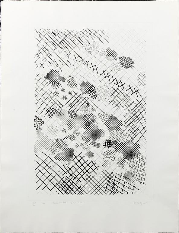 WILLIAM TILLYER, 5 st, färglitografi/etsning, samtliga signerade och numrerade 69/90, 69/90, 69/90, 69/90 och 60/90.