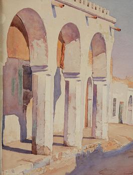 Gunnar Widforss, From Tunis.