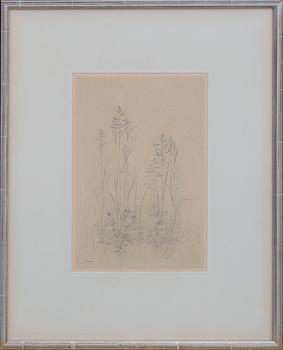 GUNNAR NORRMAN, a pencil drawing, signed and dated 1955. - Bukowskis