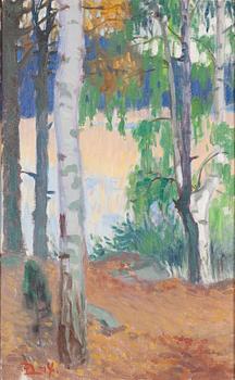 Edwin Lydén, Birches at the shore.