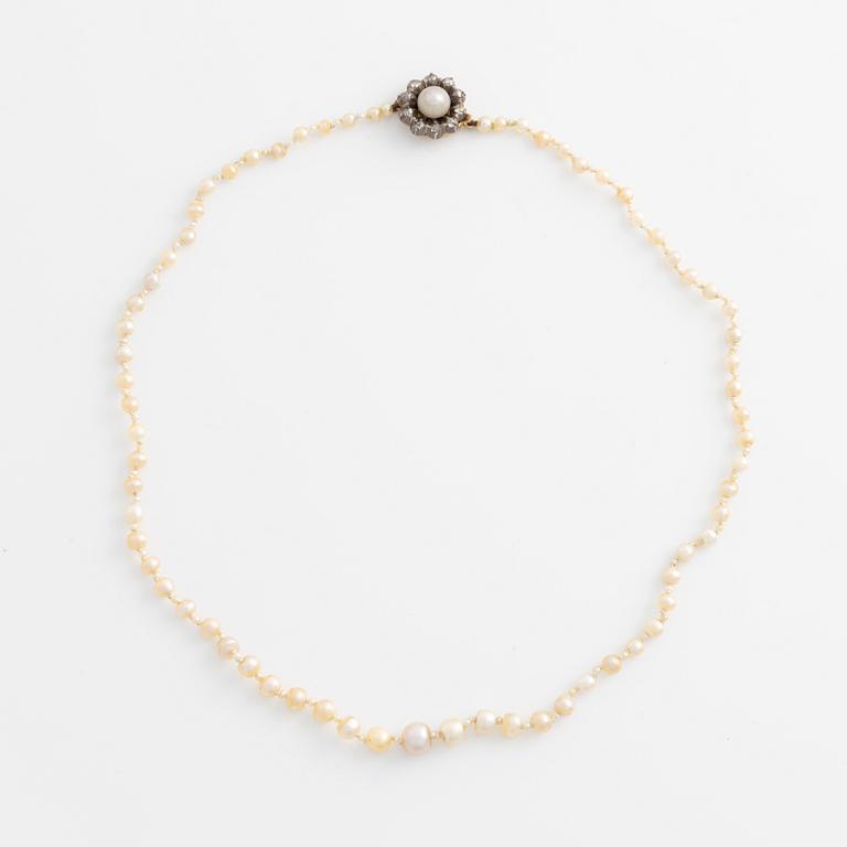 Pearl necklace, with graduated pearls.