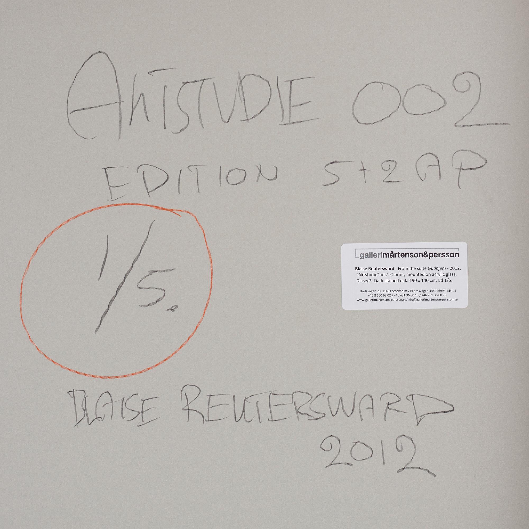 Blaise Reutersward, "Aktstudie 002", 2012.