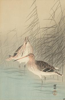 Ohara Koson,