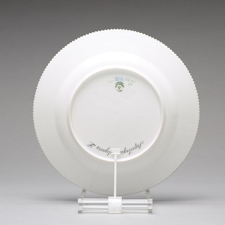 A set of 12 Royal Copenhagen "Flora Danica" dinner dishes, Denmark, 20th Century.