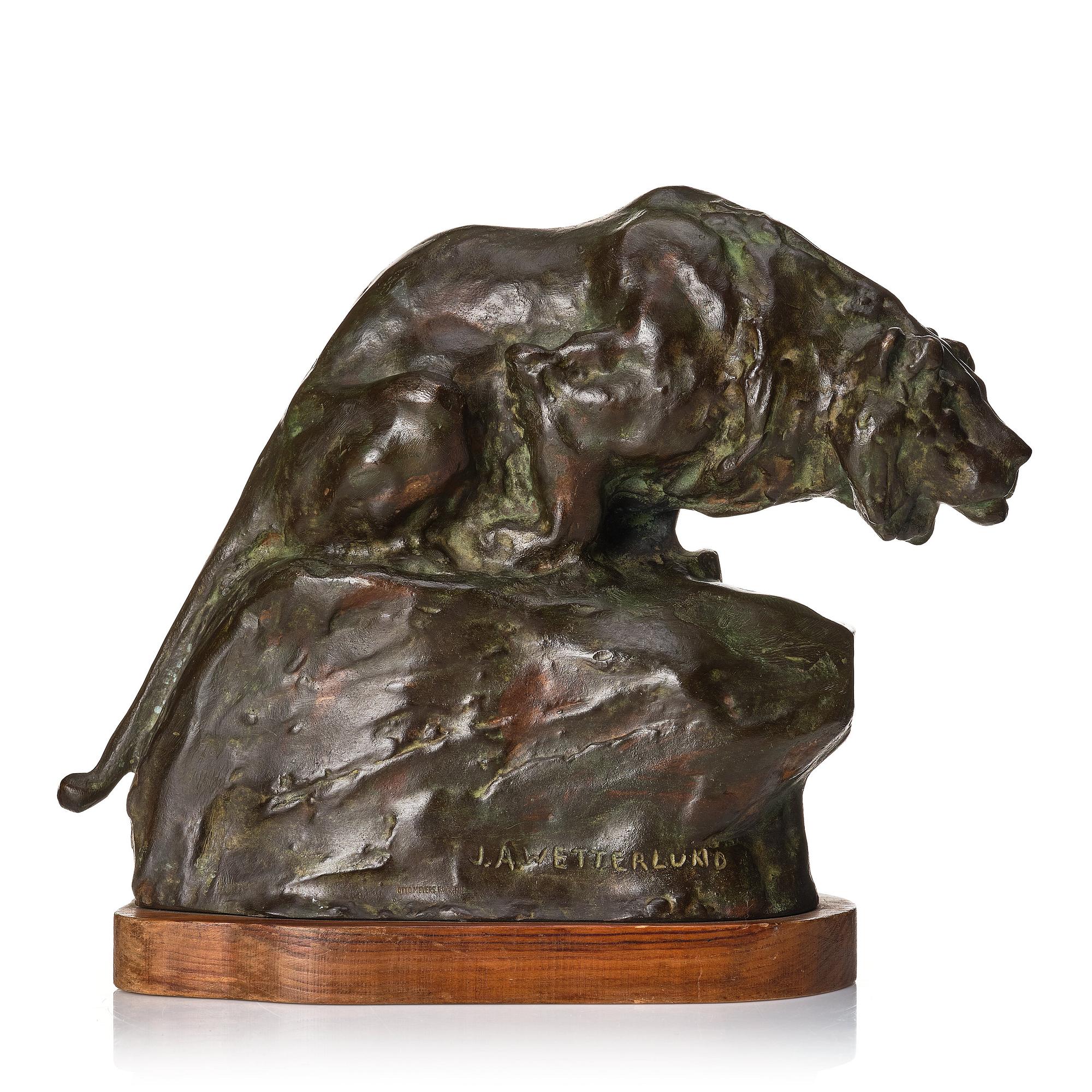 Johan Axel Wetterlund, Mountain lion.