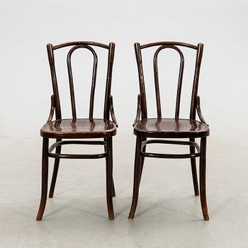 Stolar, 6 st, Fischel, 1900-talets början.