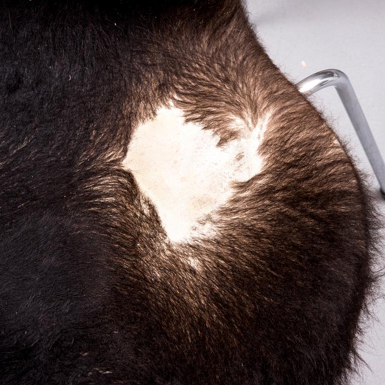 STOLAR, 6 st, "Sjuan" Arne Jacobsen, Fritz Hansen.