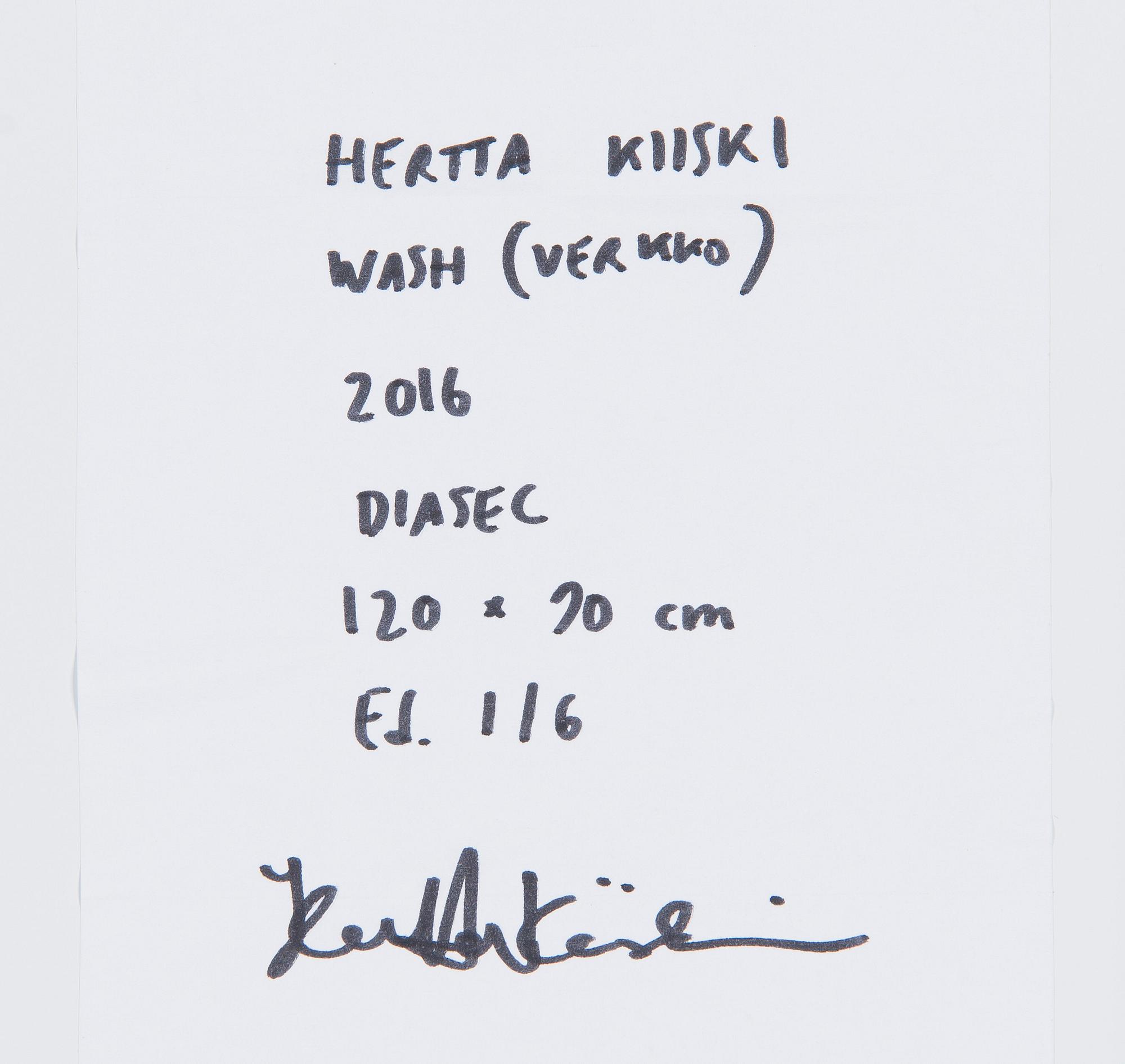 Hertta Kiiski, "Wash" (Net).