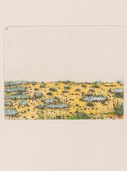 Sten Eklund, "Översiktsbild av den ditintills rådande vegetationstypen" Ur "Kullahusets hemlighet".