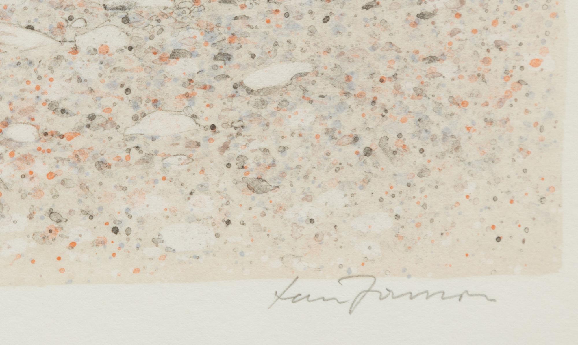 Lars Jonsson, "Silvertärnans unge".