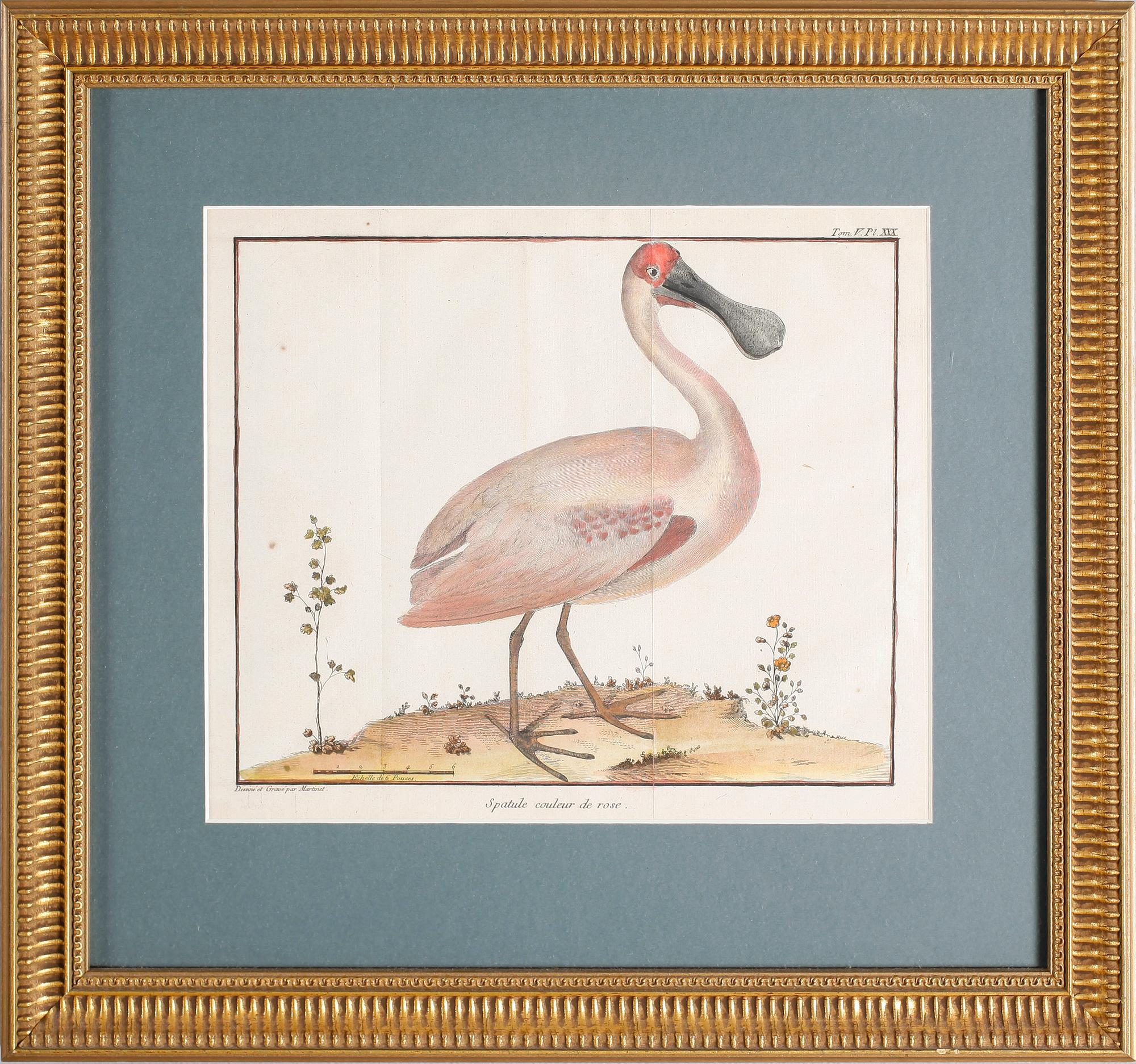 GRAVYRER, 2 st, efter Martinet, kolorerade, 1800-tal.