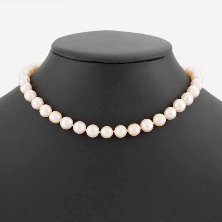 Necklace with cultured pearls.