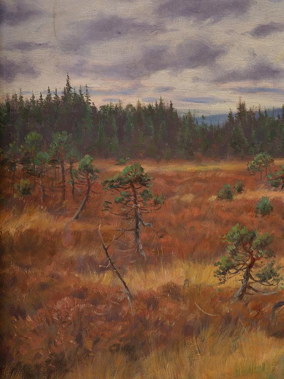 Axel Borg, Älgar på myr.