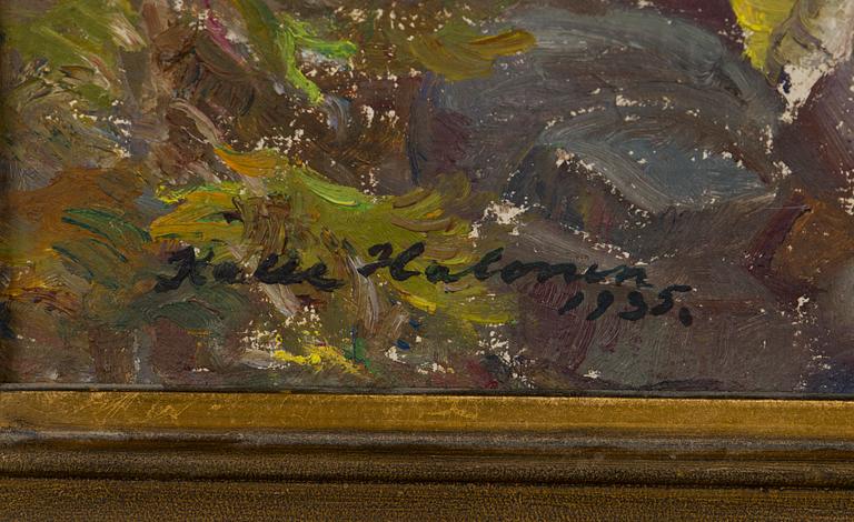 Kalle Halonen, Landskap.