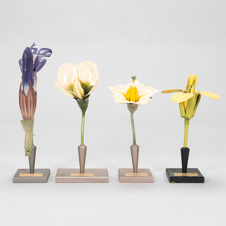 Robert Brendel & Carl Leopold Lohmeyer, A set of 4 educational materials / sculptures, "Botanic Flowers" by R. Bredel. Poland, turn of the 20th century.