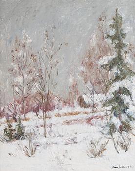 Aares Salli, Winter landscape.