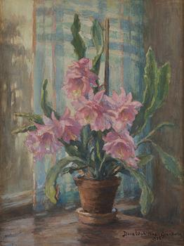 Dora Wahlroos, Blommande kaktus.