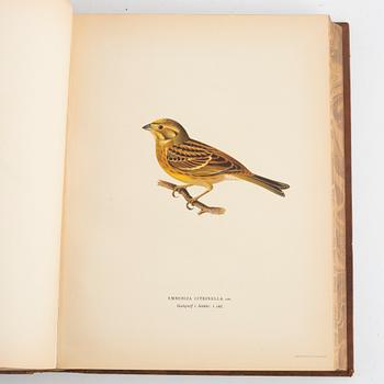 The von Wright Brothers, book work, 3 vols "Swedish Birds", A. Börtzells Printing Co. Ltd., Stockholm, 1924-1929.