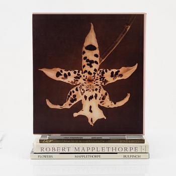 Robert Mapplethorpe, five photobooks.