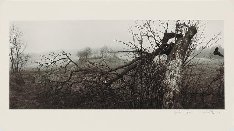 Pentti Sammallahti, "Lemland, Åland, 1988".