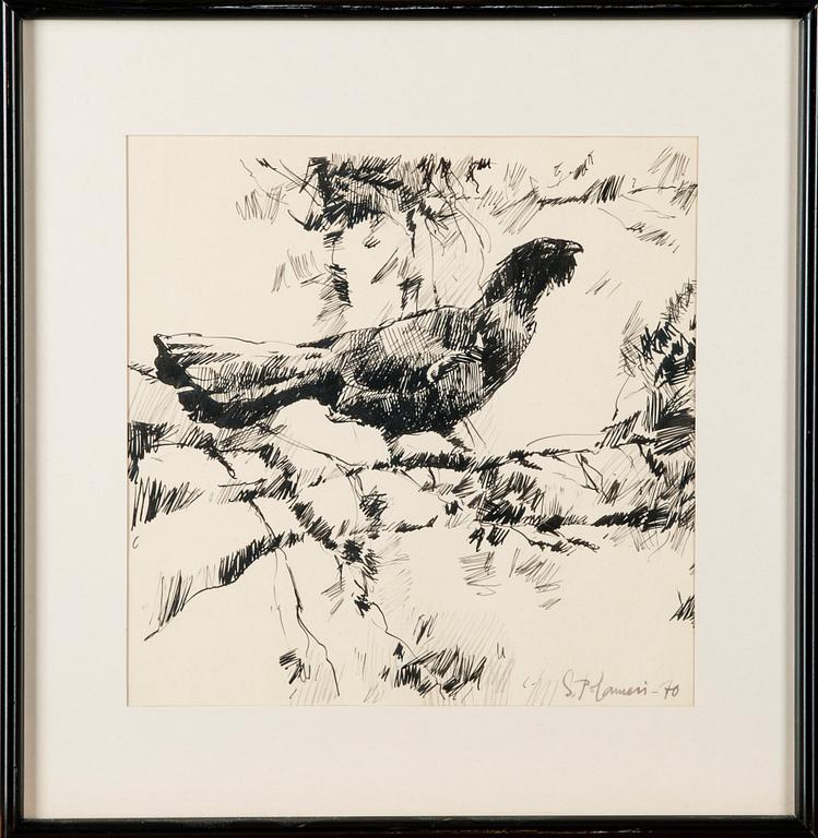 SEPPO POLAMERI, tussipiirros, signeerattu ja päivätty -70.