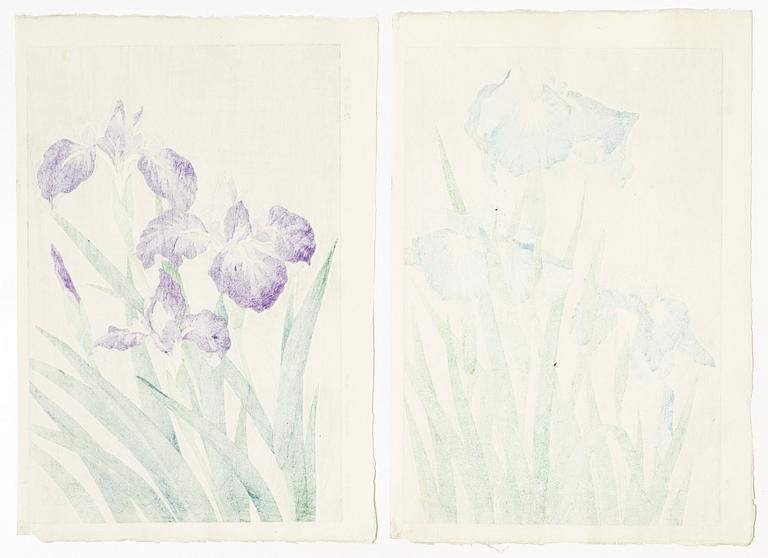 Kawarazaki Shodo, efter, Två träsnitt, "Irisar", 1900-talets andra del.