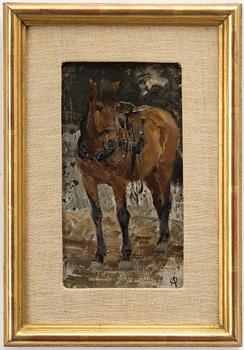 Olof Arborelius, Horse.