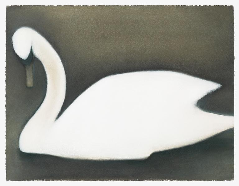Mats Gustafson, "Svan" (Swan).