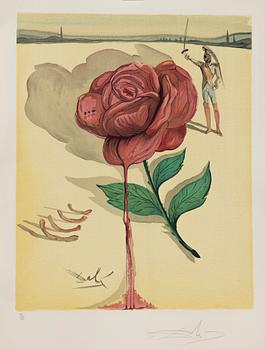 Salvador Dalí, "Don Jose's Flower Song" from "Carmen".