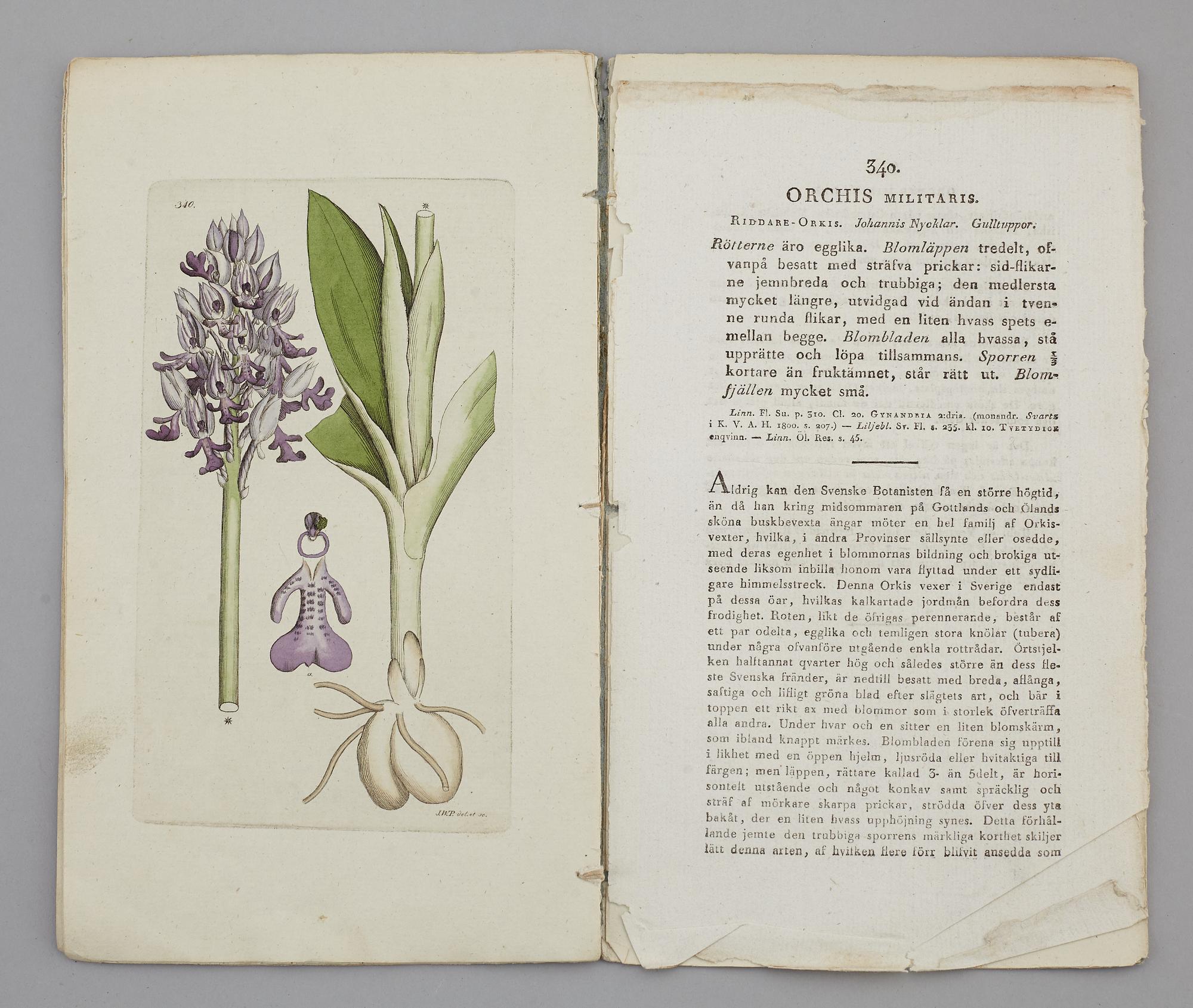 JOHAN WILHELM PALMSTRUCH, "Svensk Botanik, vol I-V. 1803-1805.